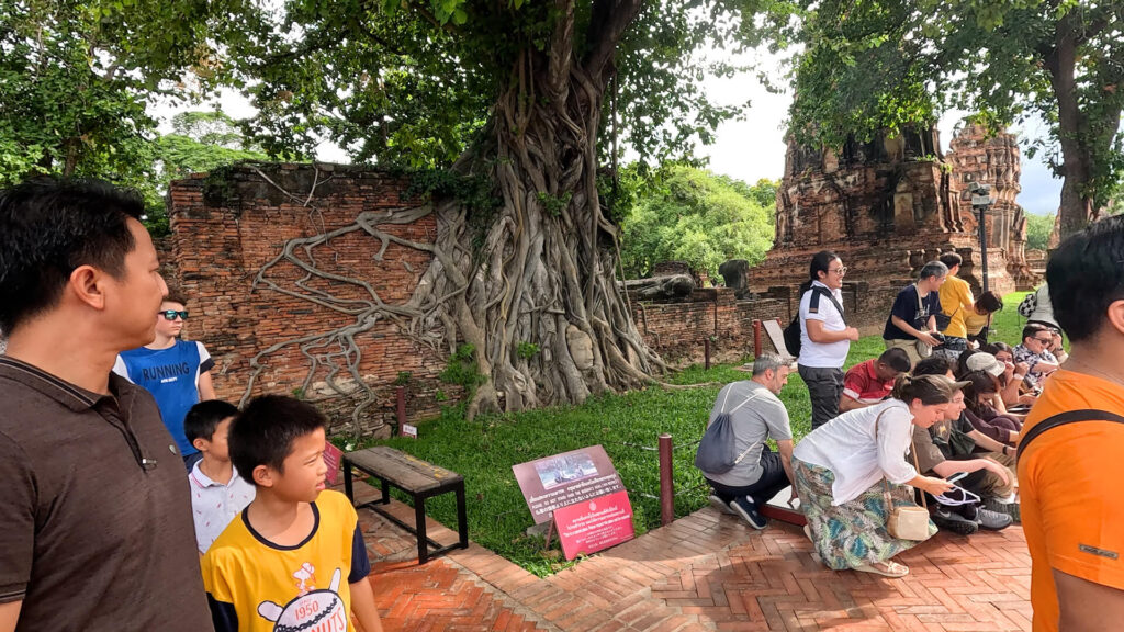 เศียรพระในรากไม้ ที่เที่ยววัดมหาธาตุ อยุธยา
