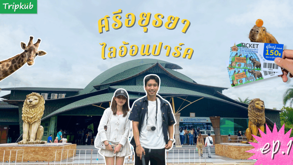 ศรีอยุธยา ไลอ้อน ปาร์ค : วันเดียวก็เที่ยวได้ สนุก ครบ จบในที่เดียว