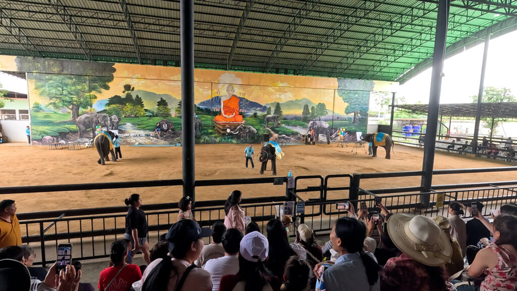 เที่ยวอยุธยา โชว์ช้าง