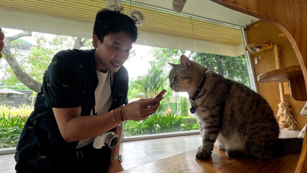 เที่ยวอยุธยา ให้อาหารแมว