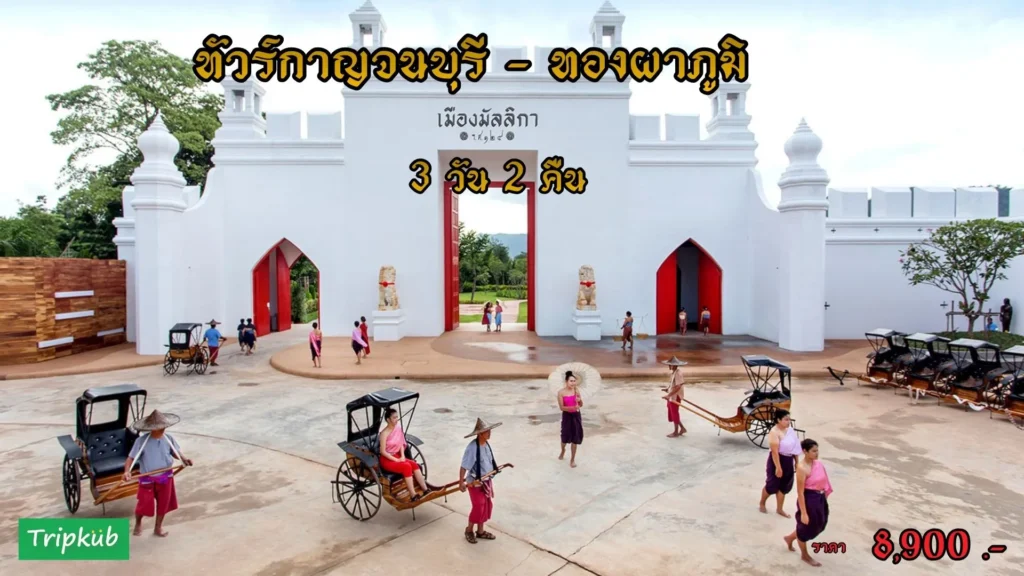 ทัวร์กาญจนบุรี เที่ยวทองผาภูมิ กับ Tripkub