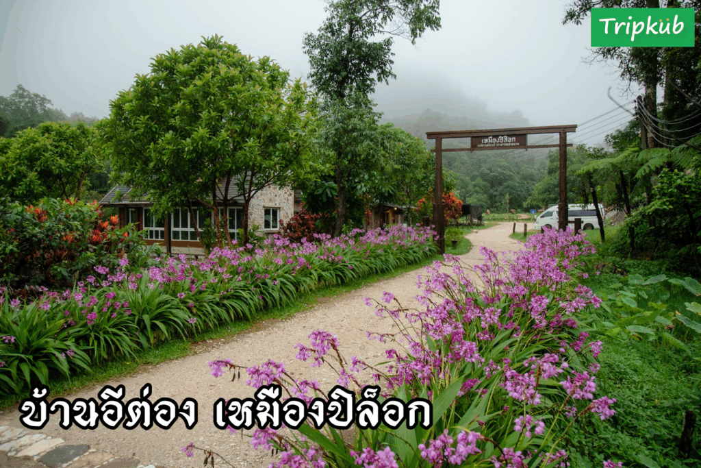 หมู่บ้านอีต่อง